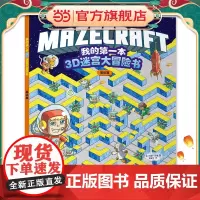我的第一本3D迷宫大冒险书:高级篇