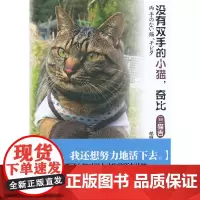 没有双手的小猫,奇比(爱、友情,能为生命创造奇迹。)
