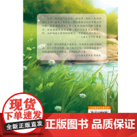 自然之子·生态文学书系 灿烂的夏天
