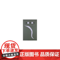 当代汉语言前言文本-湍流-2012年卷 总第二卷