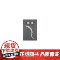 当代汉语言前言文本-湍流-2012年卷 总第二卷