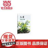 天书铁皮石斛.罗仲春,罗斯丽,刘红霞,罗毅波 著9787503898723中国林业出版社