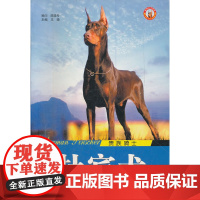贵族骑士杜宾犬/世界名犬系列 王晓 陕西科学技术出版社 正版书籍