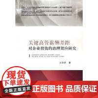 关键高管薪酬差距对企业投资的治理效应研究