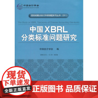 中国XBRL分类标准问题研究
