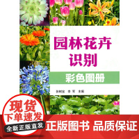 园林花卉识别彩色图册.张树宝,李军主编9787503871061中国林业出版社