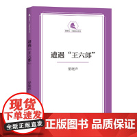 遭遇“王六郎”·独角马中篇轻读文库