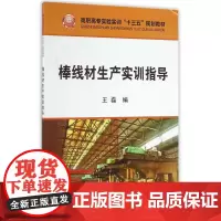 棒线材生产实训指导