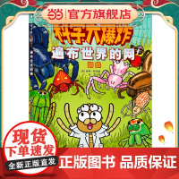 科学大爆炸:遍布世界的网 蜘蛛