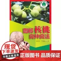图解核桃良种良法