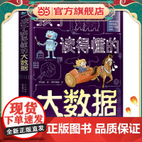 孩子读得懂的大数据(全3册)