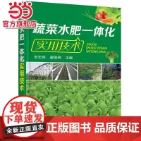 蔬菜水肥一体化实用技术 宋志伟 化学工业出版社 正版书籍