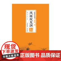 风雨双龙剑