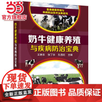 畜禽健康养殖与疾病防治技术宝典系列--奶牛健康养殖与疾病防治宝典 王艳丰 化学工业出版社 正版书籍