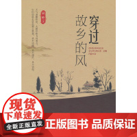 穿过故乡的风