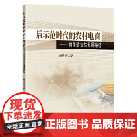 后示范时代的农村电商——内生动力与发展路径