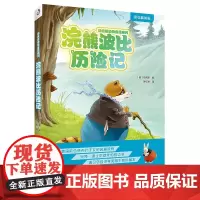 浣熊波比历险记