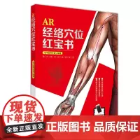 AR经络穴位红宝书