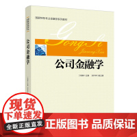 公司金融学 丁琪琳 中国经济出版社 正版书籍