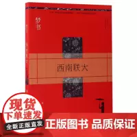 梦书:西南联大 海男 安徽文艺出版社 正版书籍