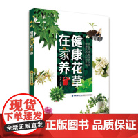 健康花草在家养