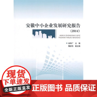 安徽中小企业发展研究报告
