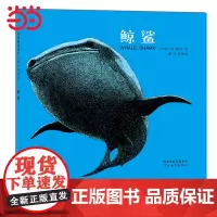 鲸鲨——翻开《鲸鲨》,你会感受到那巨大却温柔、和善的鱼儿!