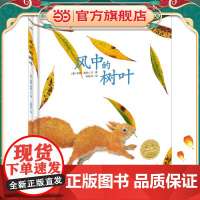 正版童书 海豚绘本花园:风中的树叶(精)点读版