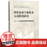国有企业专业技术人员状况研究