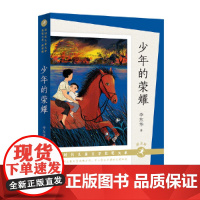 少年的荣耀(朗读版)