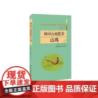 林间山地散养山鸡