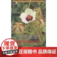 常见植物野外识别手册(新版)