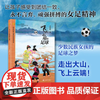 [ 正版童书]飞上云端的足球 李艳丽 著 陈伯吹新儿童文学桂冠书系 团结一致 永不言弃 顽强拼搏 女足精神 上海译文