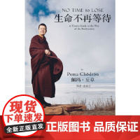 生命不再等待(著名西藏金刚乘比丘尼佩玛·丘卓力作) 丘卓  陕西师范大学出版社 正版书籍