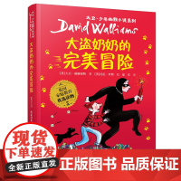 正版童书 《大盗奶奶的完美冒险》(2023年百班千人暑期书单 三年级阅读)
