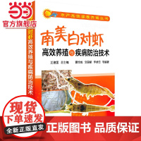 水产高效健康养殖丛书--南美白对虾高效养殖与疾病防治技术 汪建国 化学工业出版社 正版书籍