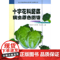 十字花科蔬菜病虫原色图谱——无公害蔬菜病虫鉴别与治理丛书