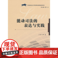 能动司法的表达与实践