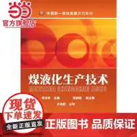 煤液化生产技术(李洪林)