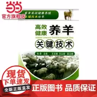 畜禽高效健康养殖关键技术丛书--高效健康养羊关键技术 朱奇 化学工业出版社 正版书籍