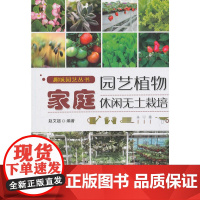 家庭园艺植物休闲无土栽培