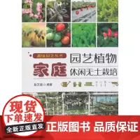 家庭园艺植物休闲无土栽培