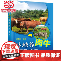 林地养肉牛疾病防治技术 张鹤平 化学工业出版社 正版书籍