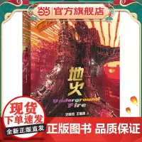 地火(全彩插图精装版)银河少年科幻名家通识启蒙系列 科幻名家刘慈欣 王晋康写给青少年的科技+人文素养提升书