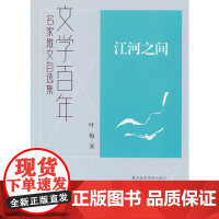 文学百年--江河之间