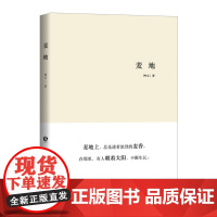 麦地 钟文 长江文艺出版社 正版书籍