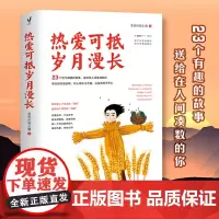 [ 正版书籍]热爱可抵岁月漫长 老杨的猫头鹰2020年全新作品 做一个自己喜欢的人 保持热爱 奔赴山海
