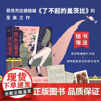 夜色温柔(未删精装典藏本!《了不起的盖茨比》姊妹篇!村上春树 F.S.菲茨杰拉德 陕西师范大学出版社 正版书籍