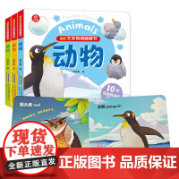 图解生命周期翻翻书:植物、动物、昆虫(全3册)
