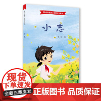 小志-舞动的精灵系列小说(这是一部关于少先队的红色主题小说,作家周桥用细腻幽默的笔触描写了发生在少年队里的生动故事)